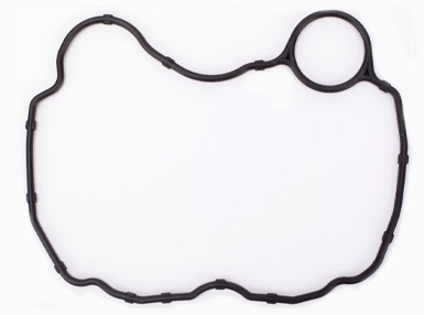 CGP200 Seal ring